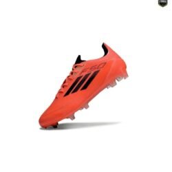 F50 + FG - Image 3