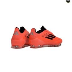 F50 + FG - Image 4