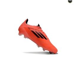 F50 + FG - Image 2