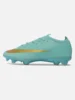Mercurial Vapor 17 Elite FG