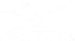 mizuno