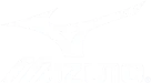 mizuno